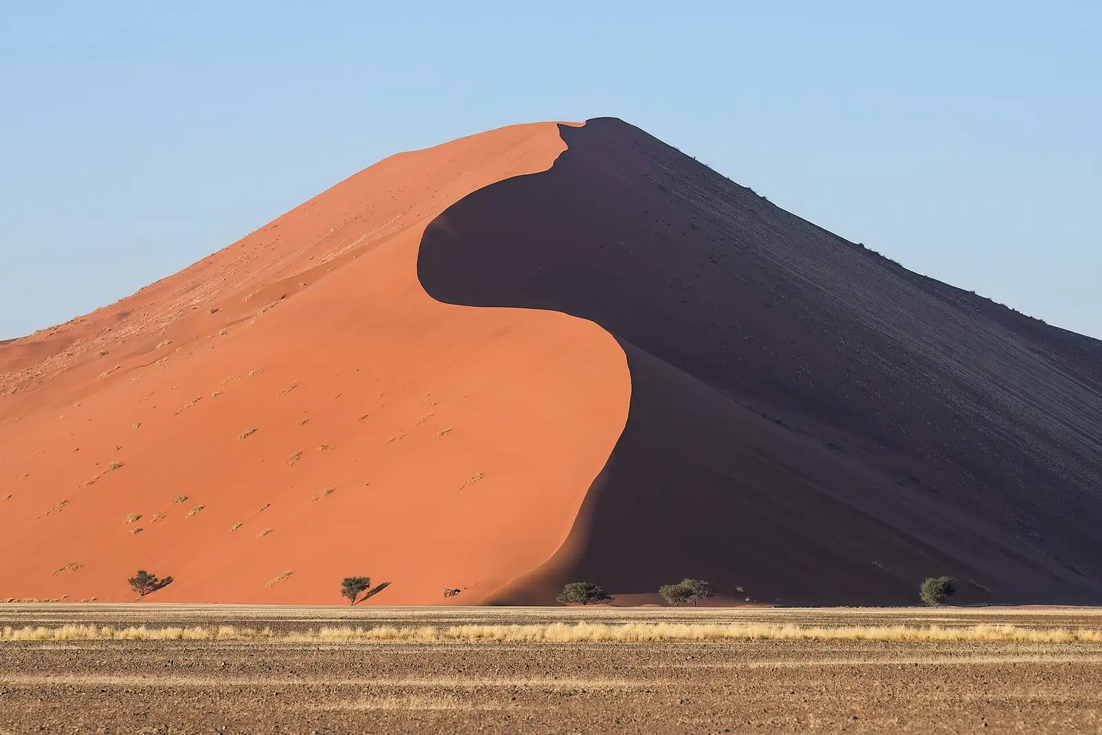 Dune 45 at sunrise in Sossusvlei, with one side lit orange and the other in shadow
