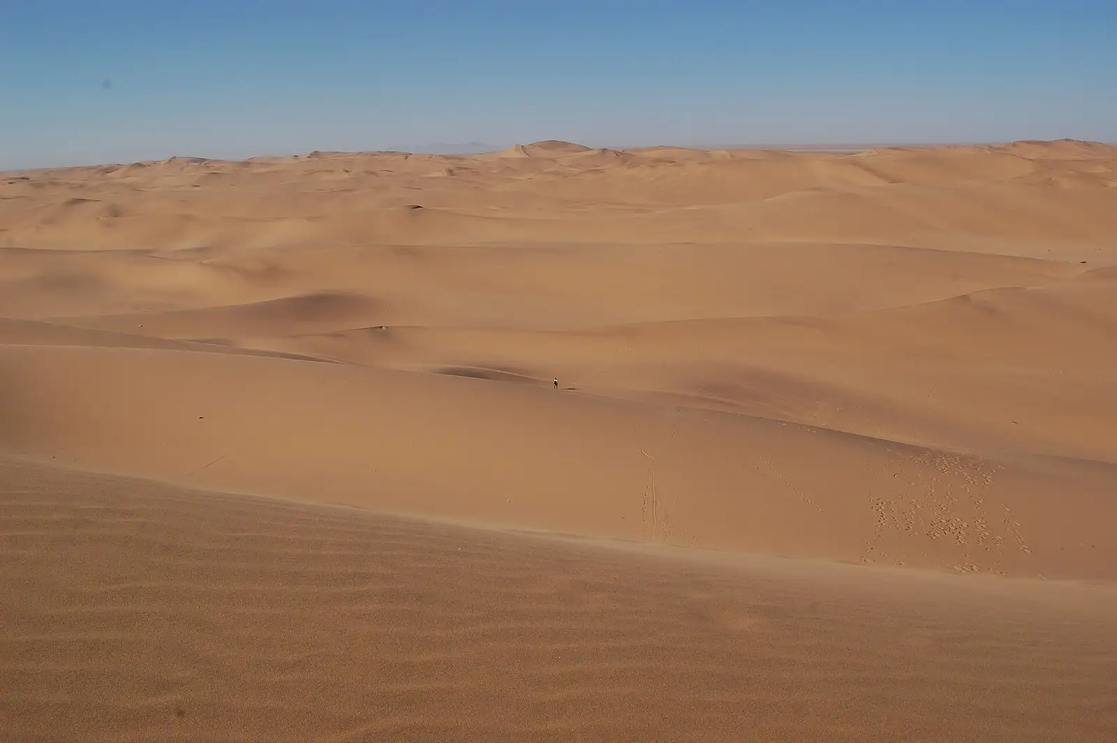 Dune field near Swakopmund where many desert tours take place