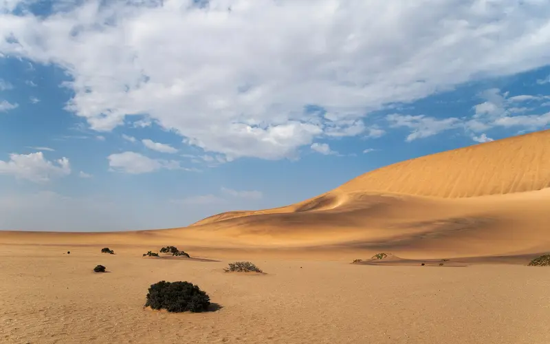 Dunes and desert scrub just south of Swakopmund, free to explore