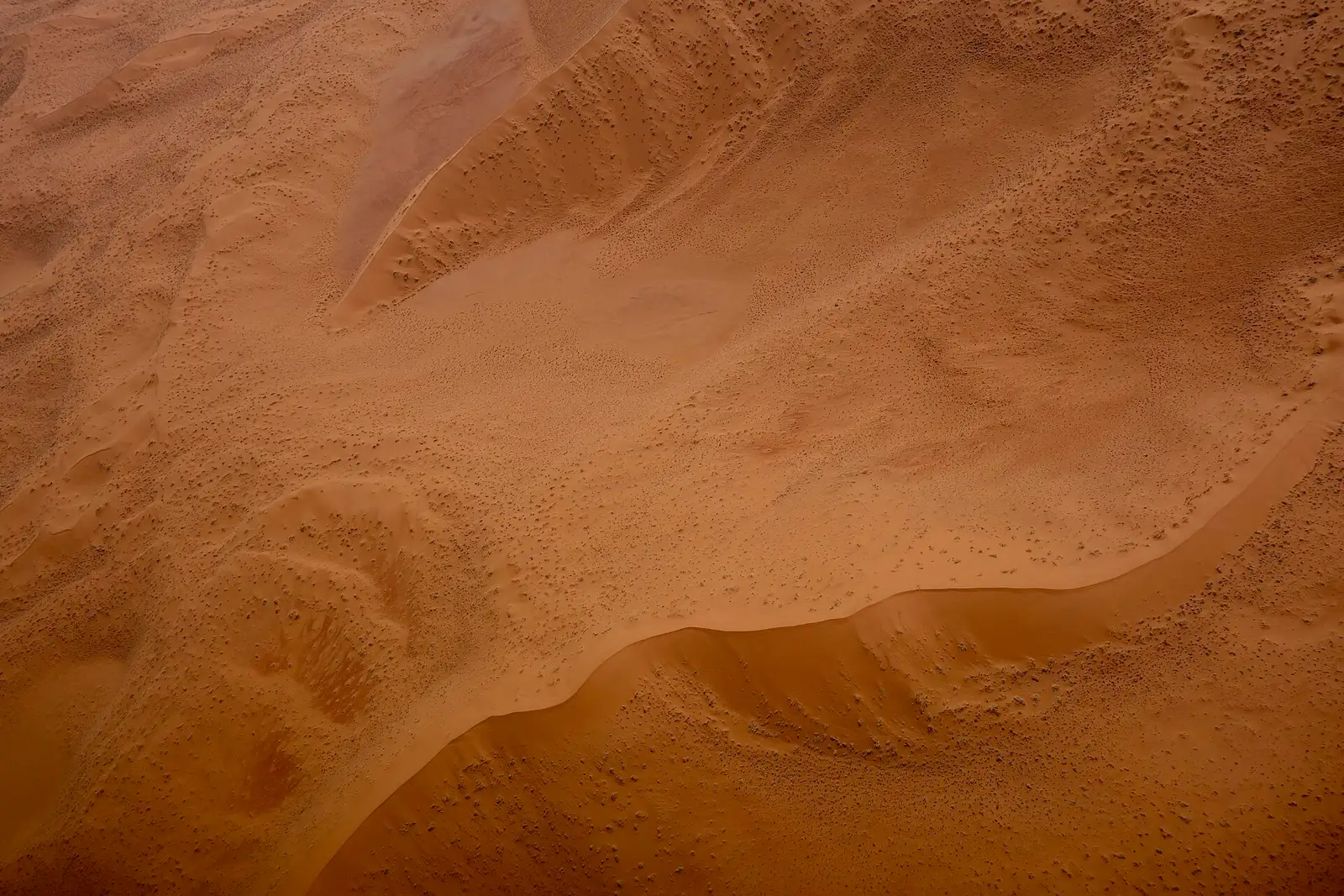 Aerial view of rippling dune ridges in the Namib Desert