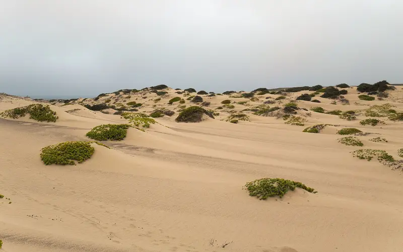 Pale dunes running down to the Atlantic on Namibia's Skeleton Coast