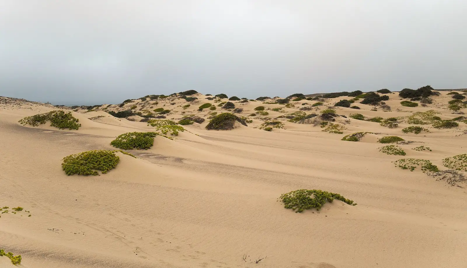 Pale dunes running down to the Atlantic on Namibia's Skeleton Coast