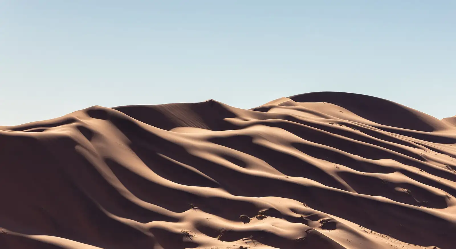Curving red dunes and long shadows at Sossusvlei in the Namib Desert